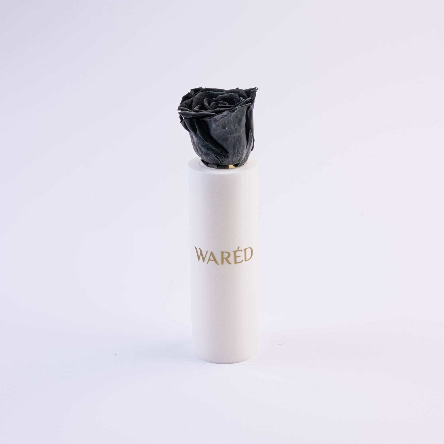 Eternal Waréd - White
